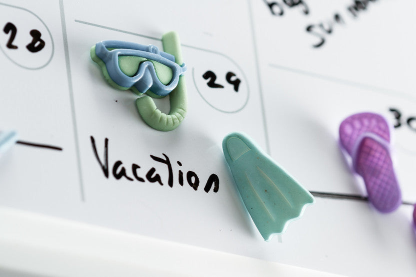 Budget-Friendly Family Vacation Destinations for Every Season