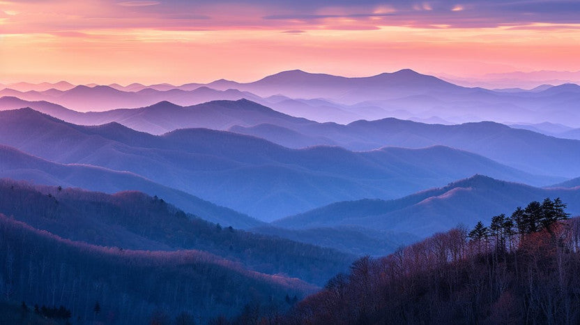 Discover the Great Smoky Mountains: The Ultimate Travel Guide to America's Most Visited National Park
